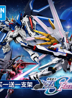 万代高达拼装模型HG SEED剧场版 非凡强袭飞升自由无限正义二式