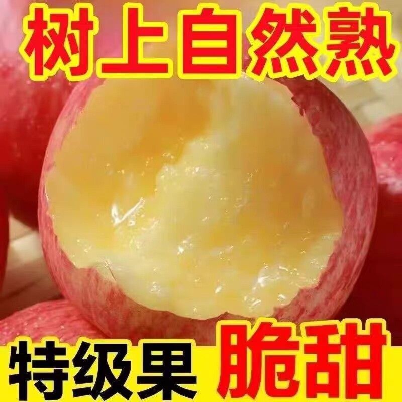 正宗河北邢台红富士苹果新鲜水果应当季超甜超脆多汁条纹苹果16枚
