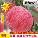 包邮 农家水果10斤整箱 新鲜现摘浆水红富士苹果河北邢台特产当季
