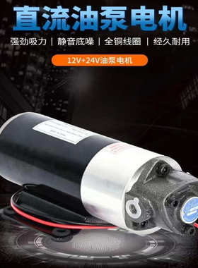 12V24V加油泵小型直流电机油泵汽车免拆清洗保养润滑泵TOP 12A-VB