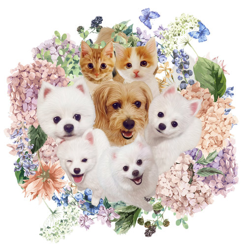 宠物手绘写实猫咪狗狗肖像定制