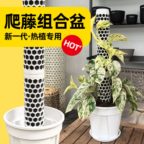 热植专用爬藤柱组合花盆