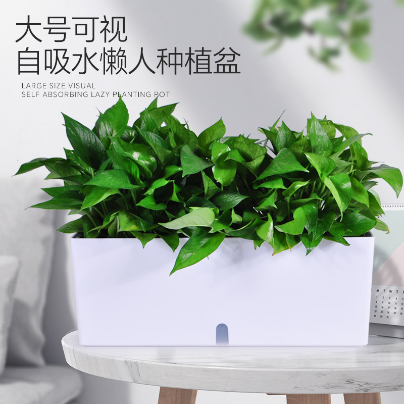 长方形阳台种菜盆家庭蔬菜种植盆专用箱吸水室内草莓盆栽塑料花盆
