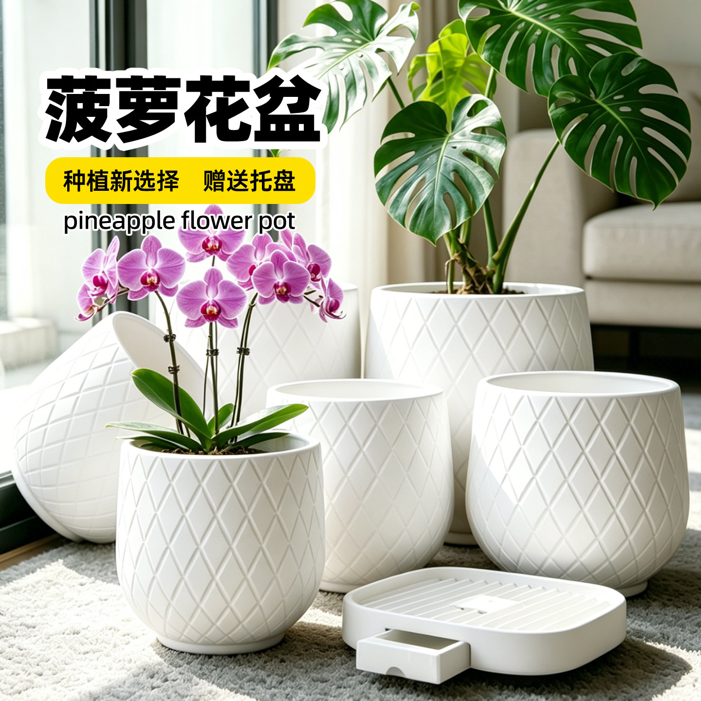 2026新款树脂可爱高级菠萝花盆图片
