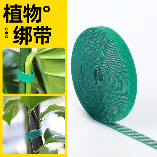 蔬菜植物爬藤固定魔术贴绑带