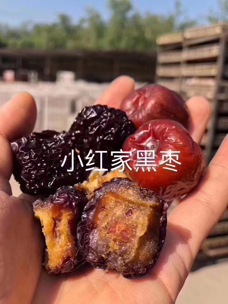 陕北枣妹子小红家10斤红枣,黑枣,自由搭配