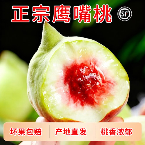 当季鹰嘴桃新鲜水果现摘现发脆甜5斤毛桃中大果整箱产地直发