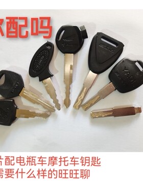 远程数控图片配钥匙拍照片配电瓶车电动车摩托车三轮车钥匙车包邮