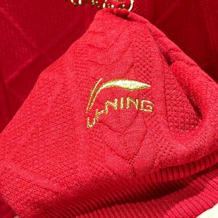 李宁日进斗金2024秋冬潮流卫衣女子运动休闲潮流套头衫 AWDU048