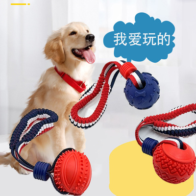 训练带绳球马犬中大型犬拉扯球
