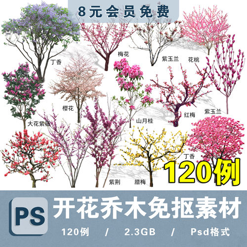 园林景观紫薇樱花桃花玉兰紫荆红叶李乔木花乔高清图片分层ps素材