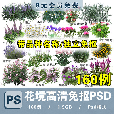园林景观花境镜花坛鲜花设计常见花灌木分层免抠高清图片PSD素材