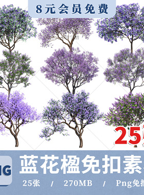 园林PS高清蓝花楹PNG免扣蓝花楹效果图后期PSD分层procreate素材