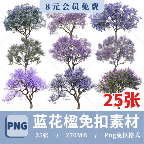 园林PS高清蓝花楹PNG免扣蓝花楹效果图后期PSD分层procreate素材