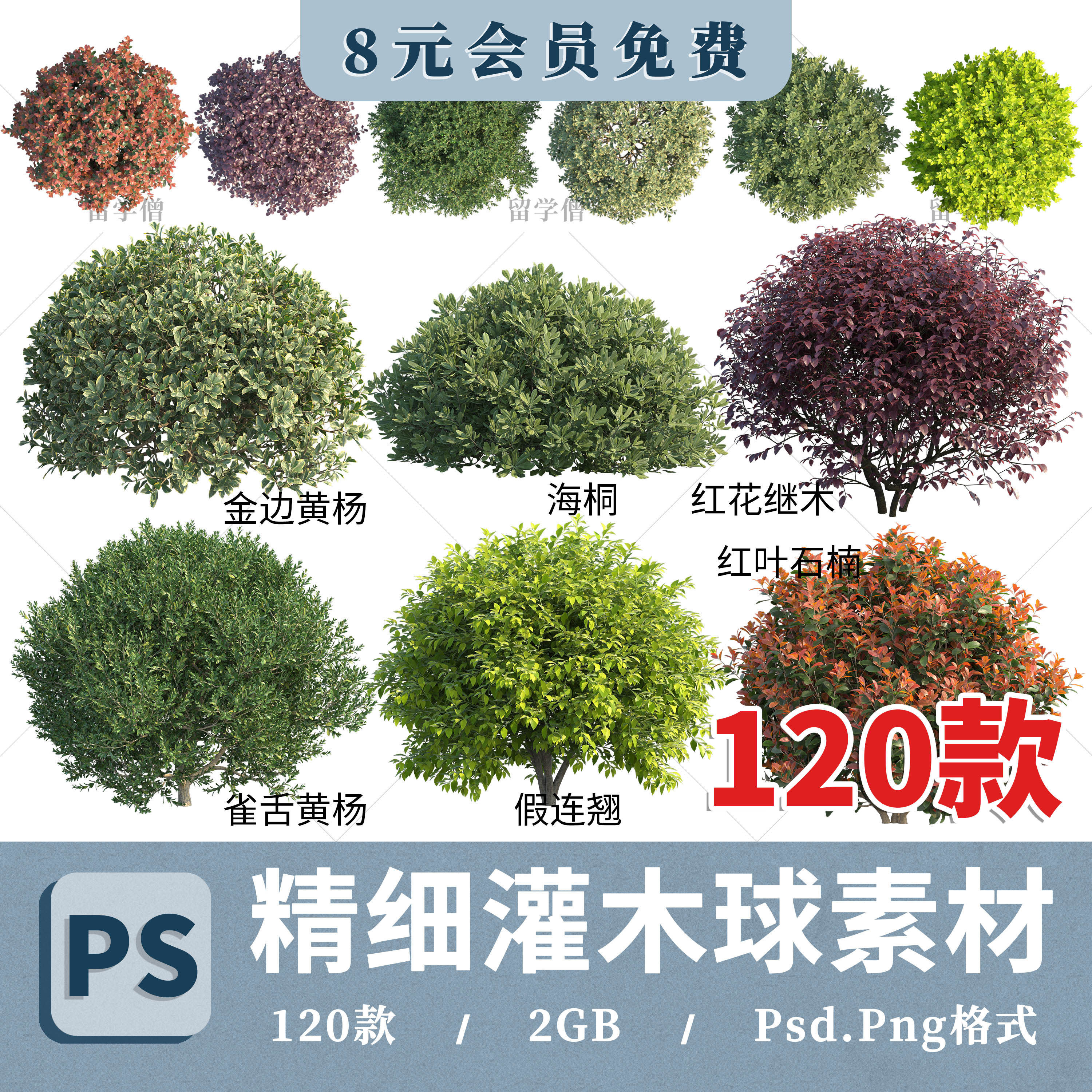 黄杨石楠红檵木海桐灌木球PNG高清免抠PSD分层平立面图片贴图素材,商务/设计服务,设计素材/源文件,淘宝优惠券,粉丝福利购,淘宝优惠卷