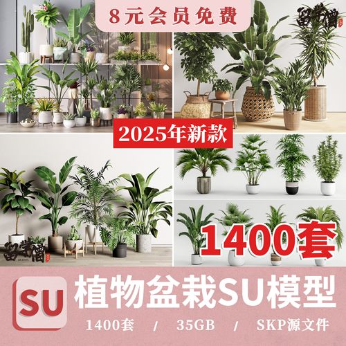 绿植植物花盆盆栽盆景松树单体草图大师SU模型室内花卉花草素材库