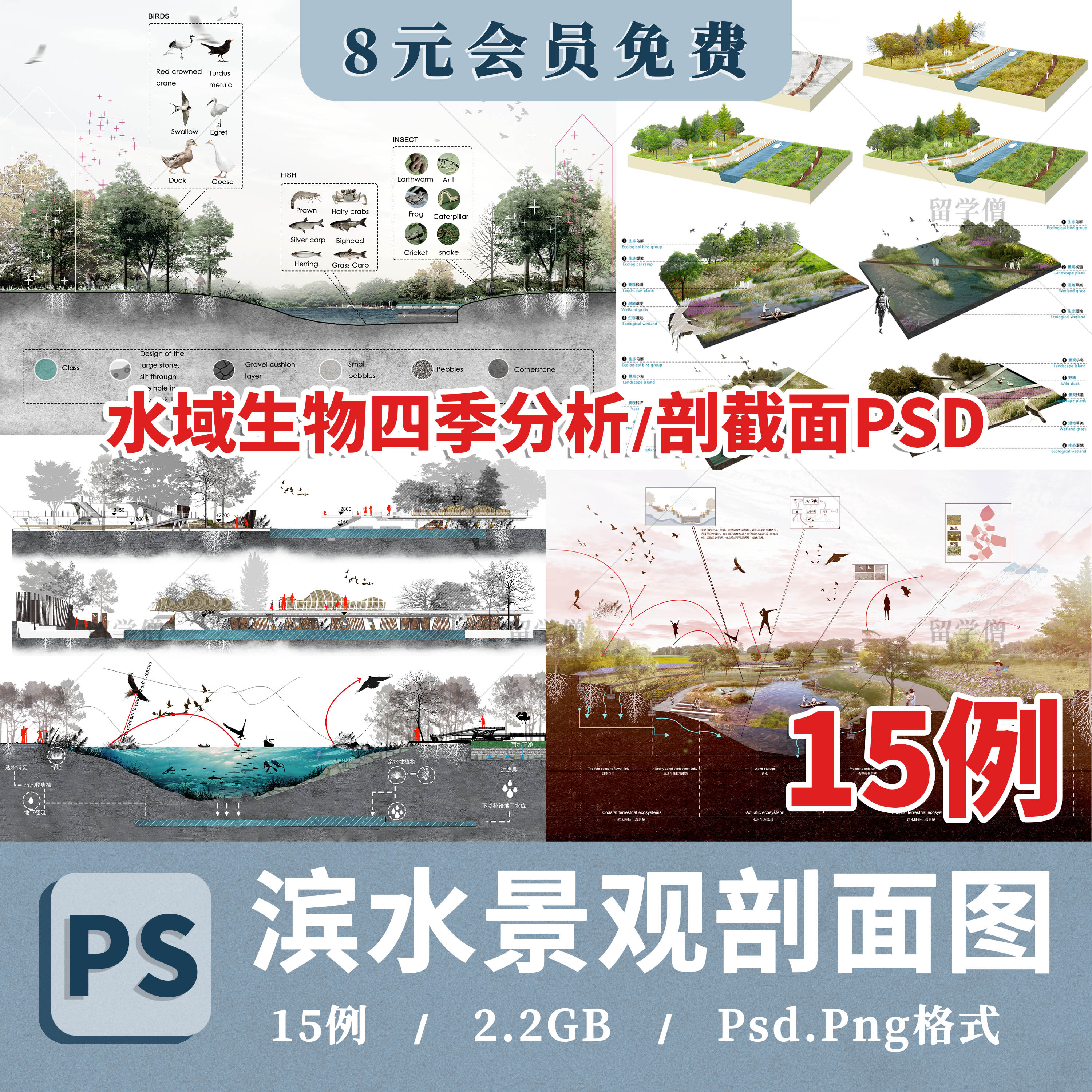 滨水驳岸竞赛剖面图分析ps湿地概念轴侧剖立面分析图建筑景观素材