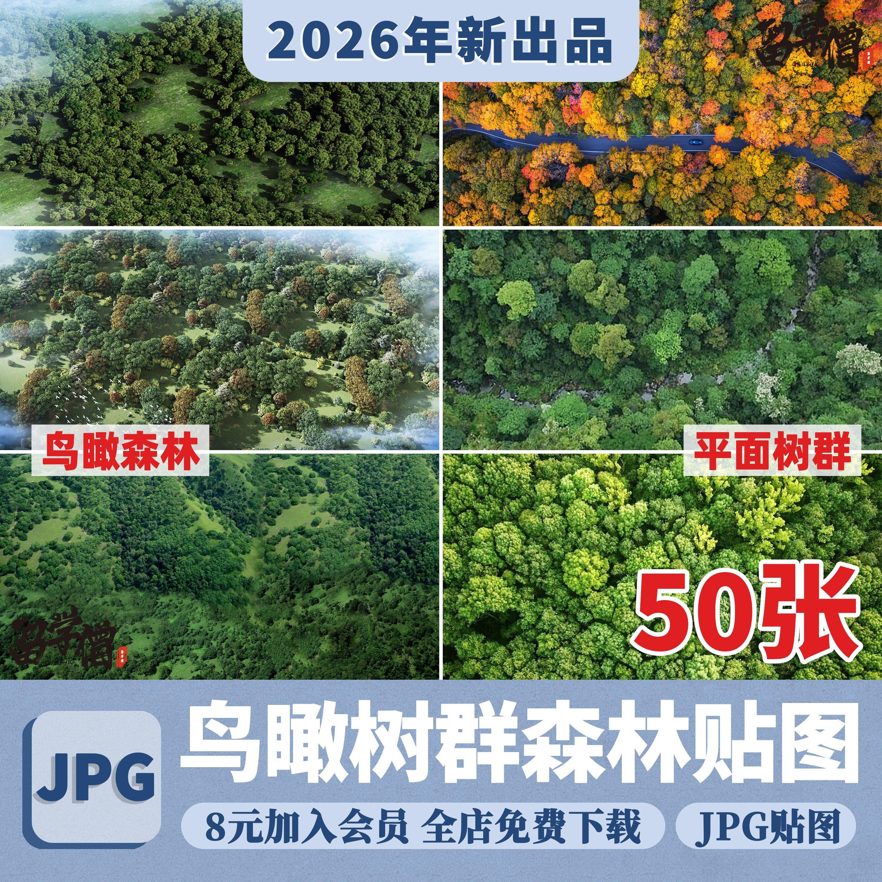 竞赛风平面鸟瞰树群树丛森林植物彩平效果图PSD配景JPG素材ps贴图,商务/设计服务,设计素材/源文件,淘宝优惠券,粉丝福利购,淘宝优惠卷