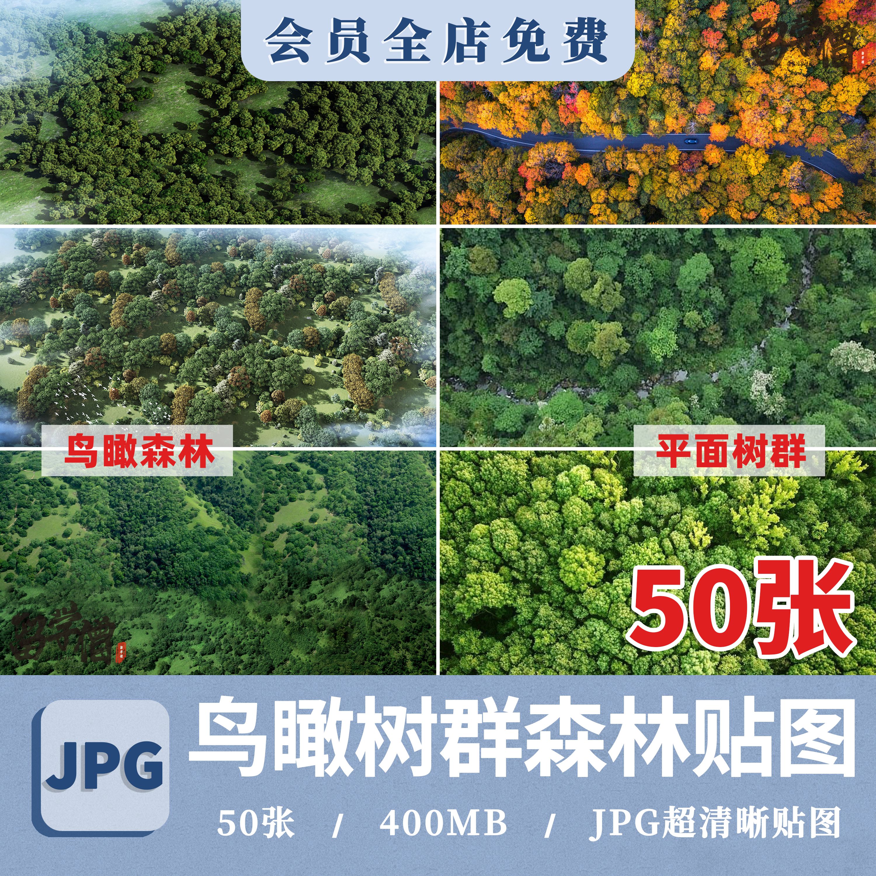 竞赛风平面鸟瞰树群树丛森林植物彩平效果图PSD配景JPG素材ps贴图