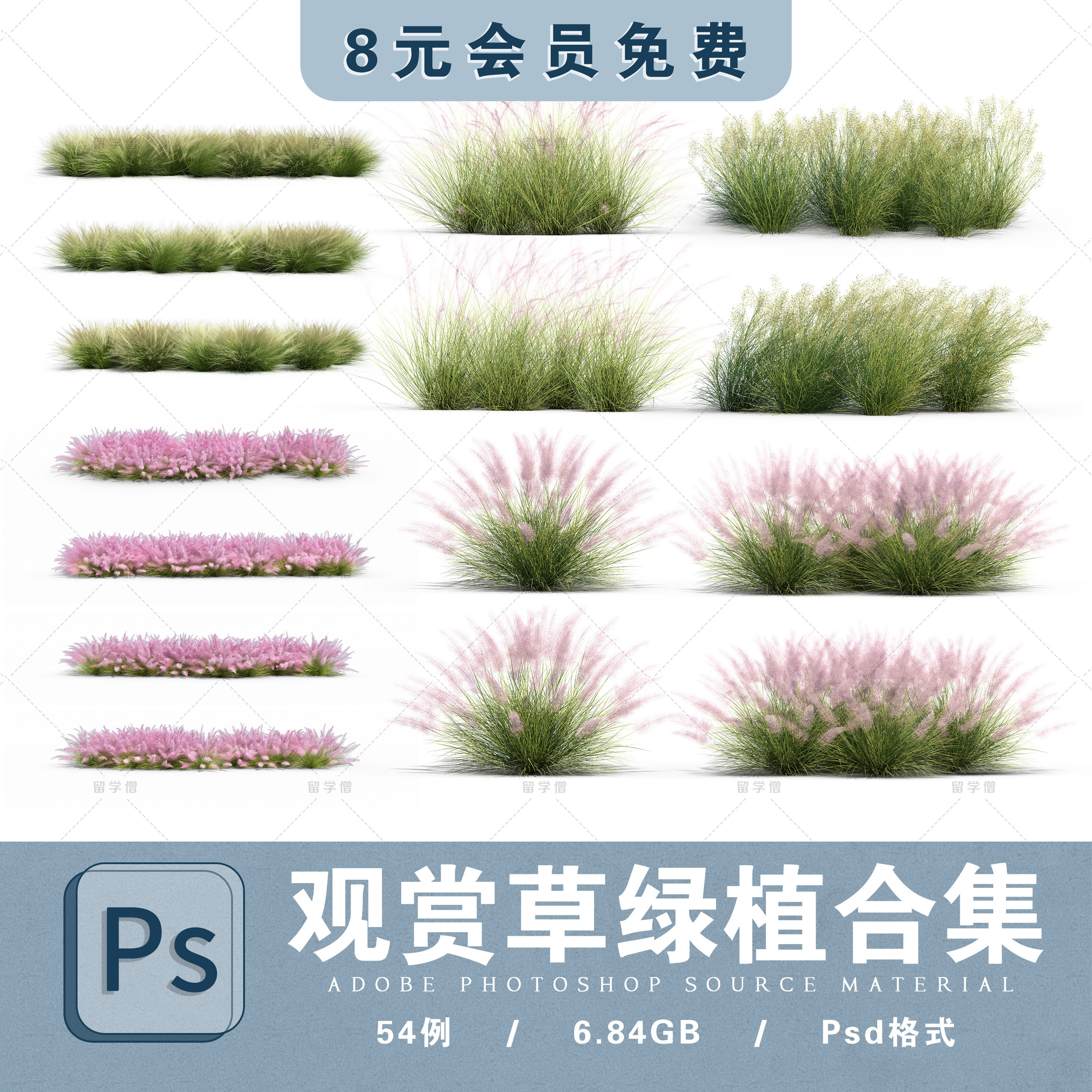 景观毛绒绿植素材ps花卉绿植单体免扣粉黛乱子草花丛花卉配景组团,商务/设计服务,设计素材/源文件,淘宝优惠券,粉丝福利购,淘宝优惠卷