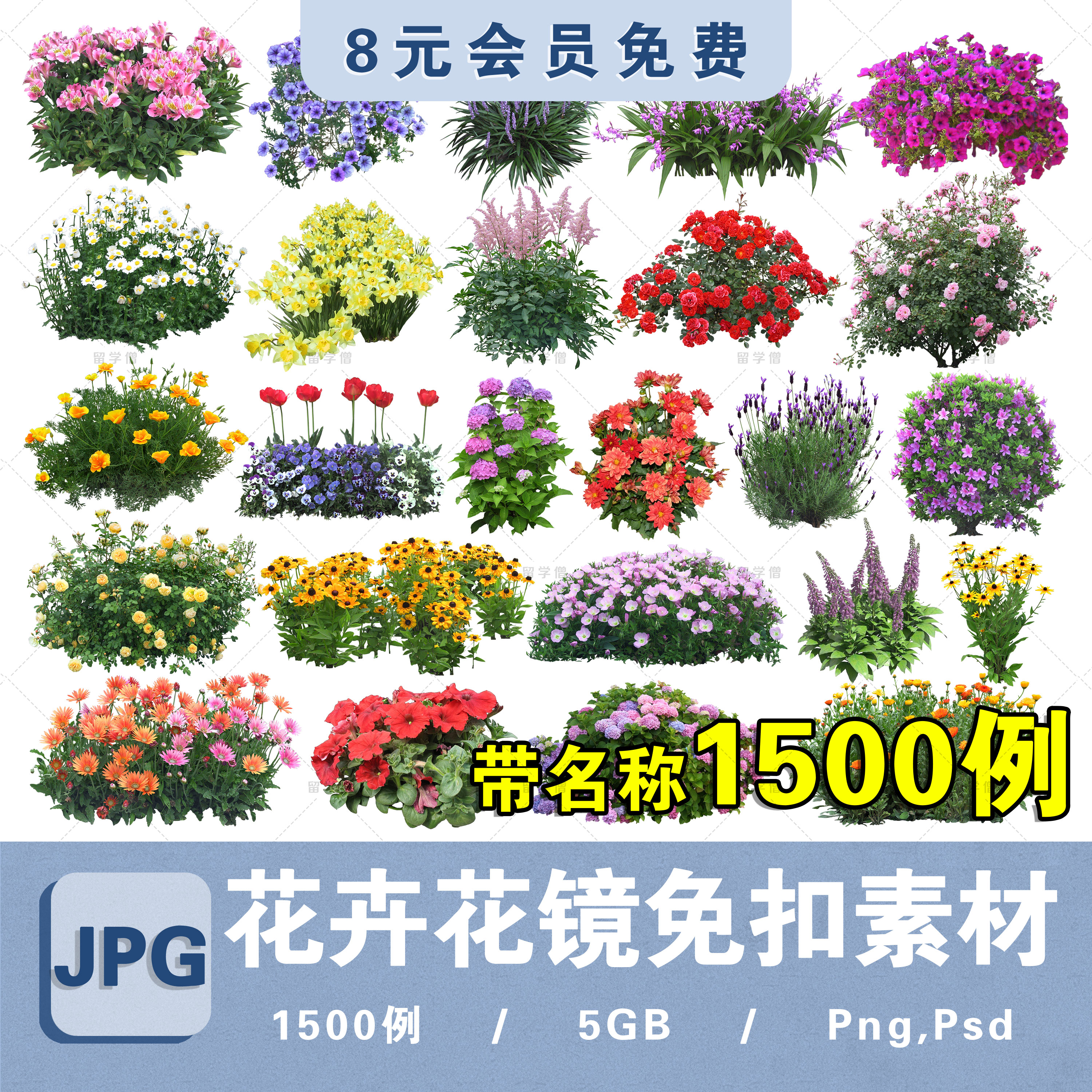 高清花卉植物procreate花镜ps花坛效果图PNG免抠带名称景观素材