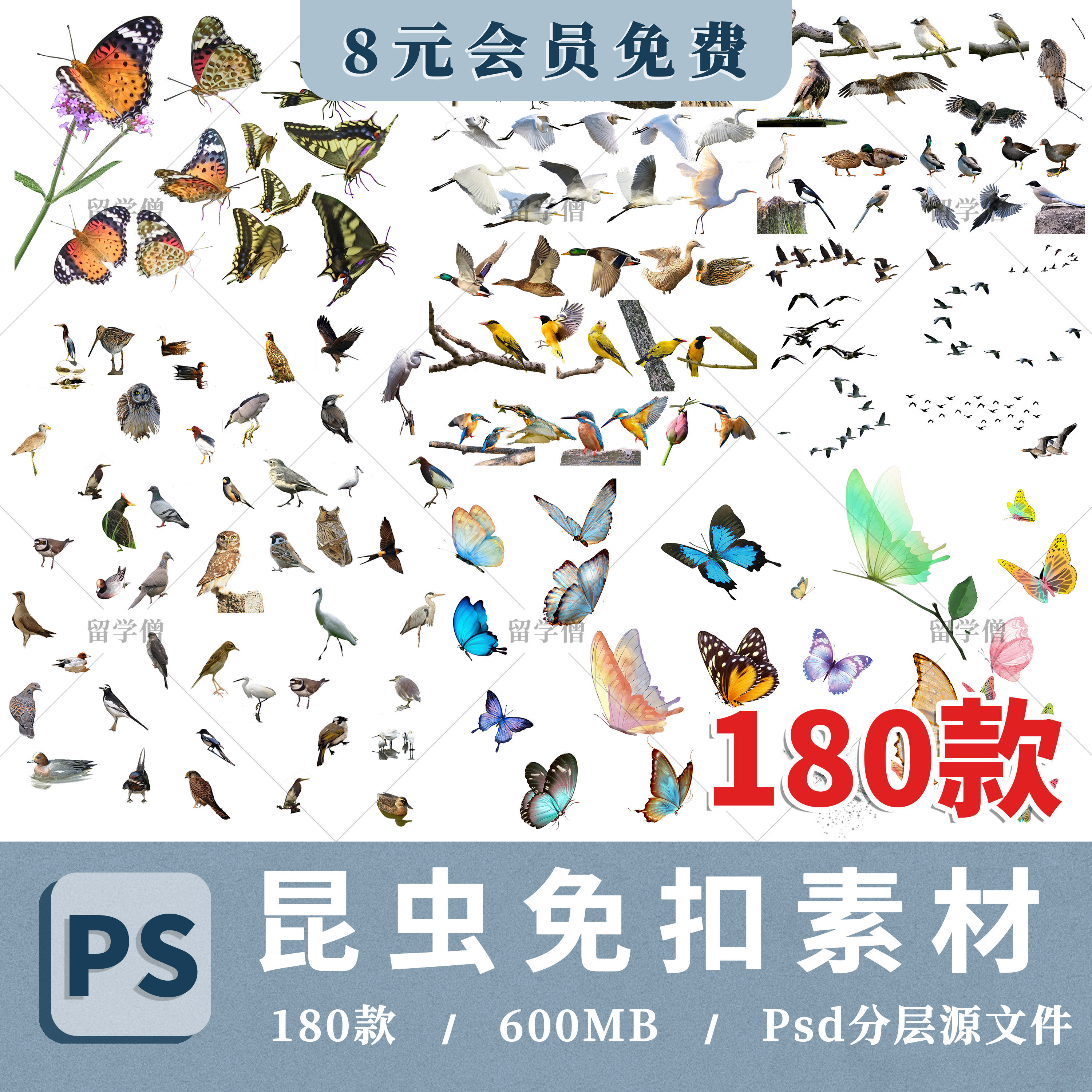 昆虫蝴蝶爬行类动物鸟类PSD免扣素材PS分层蜜蜂蜈蚣蟋蟀蚂蚁蚂蚱,商务/设计服务,设计素材/源文件,淘宝优惠券,粉丝福利购,淘宝优惠卷