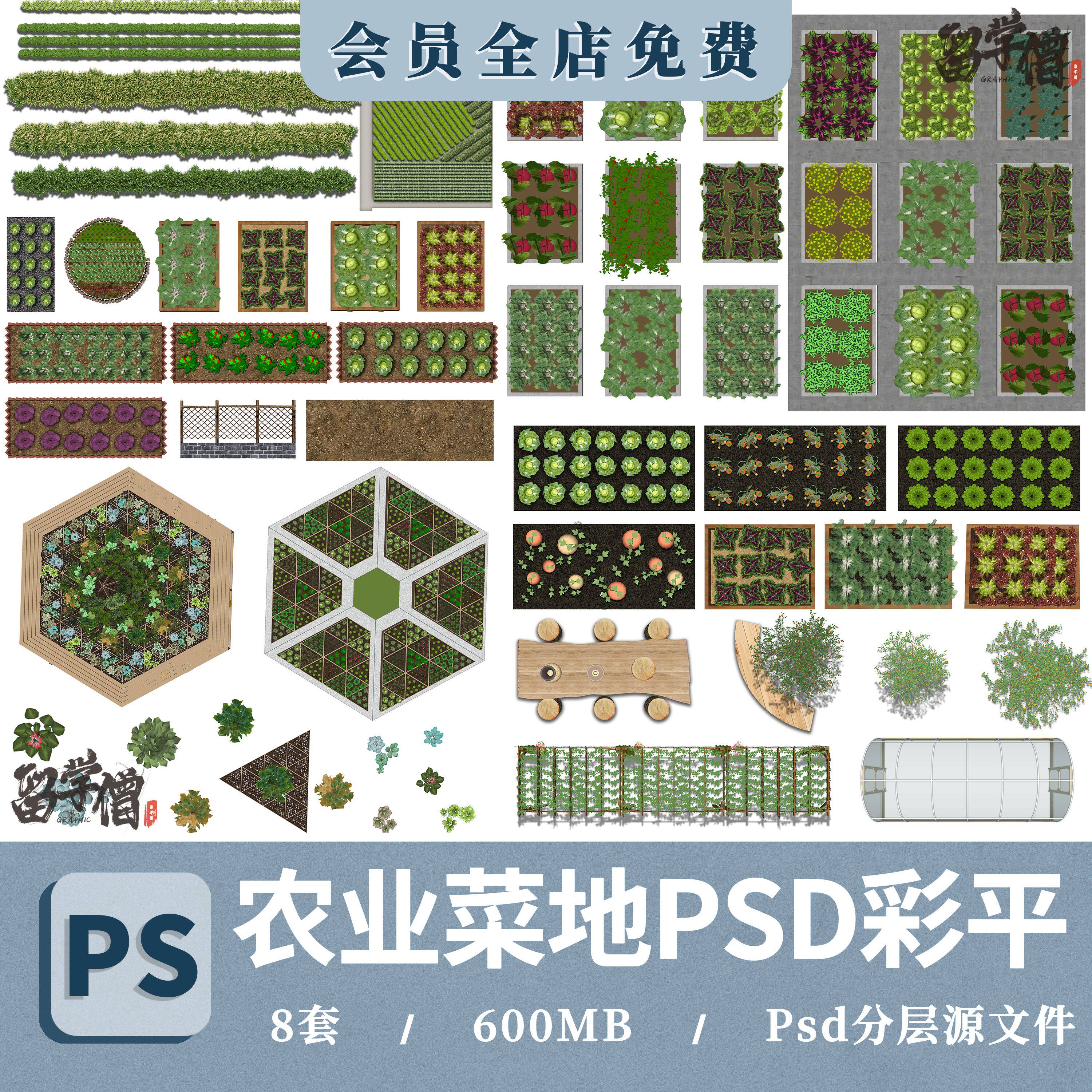 美丽乡村农业农场菜园规划彩平图ps菜地蔬菜平面贴图psd分层素材