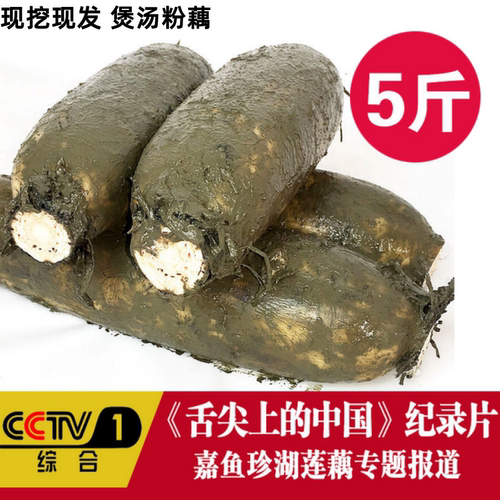 新鲜莲藕现挖现发带泥粉糯糯米藕