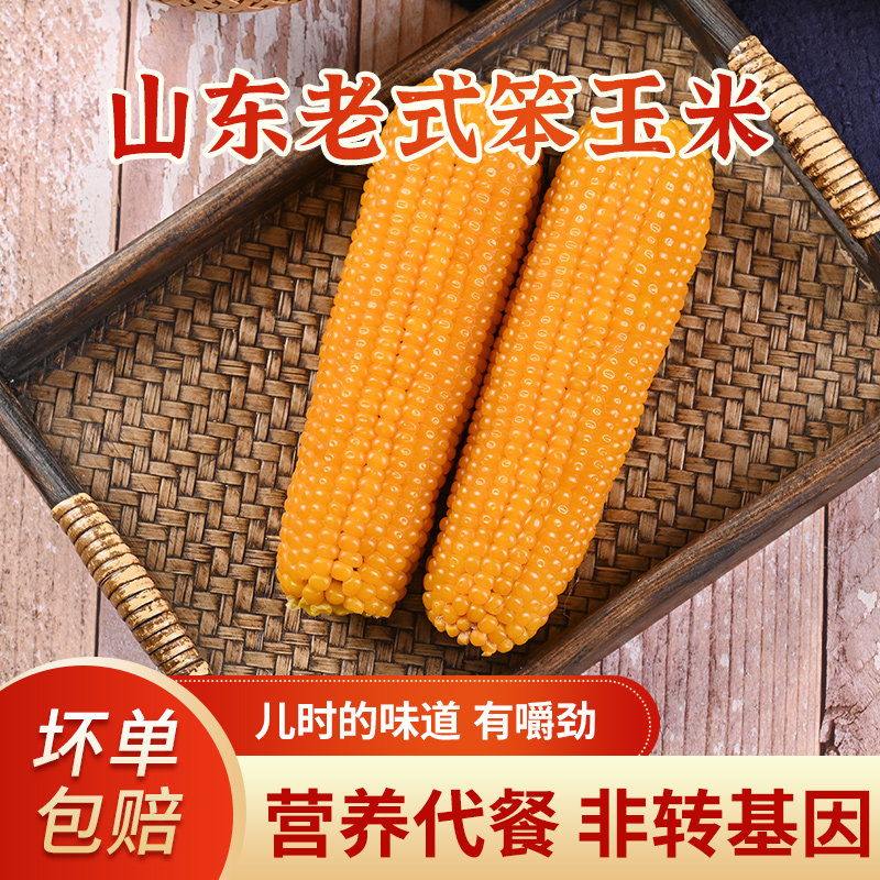 老式笨玉米真空即食老品种山东新鲜苞米棒子不甜糯黏免蒸煮黄玉米