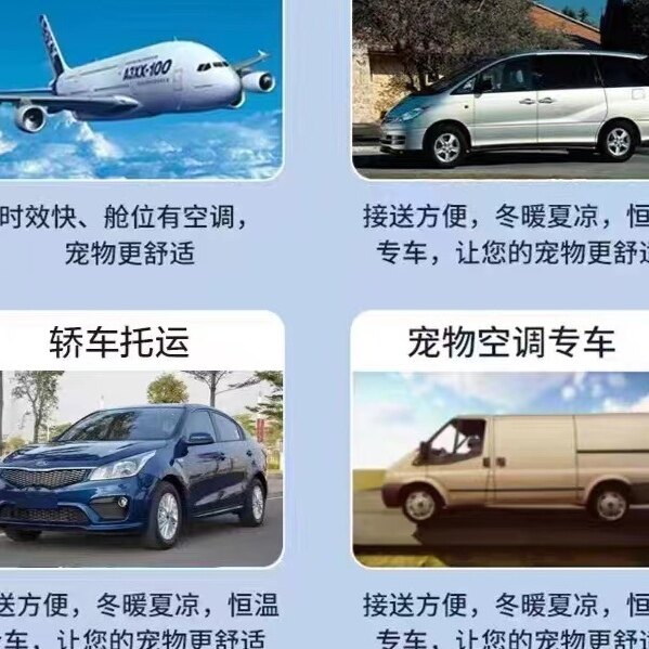 实时监控宠物托运人宠同行