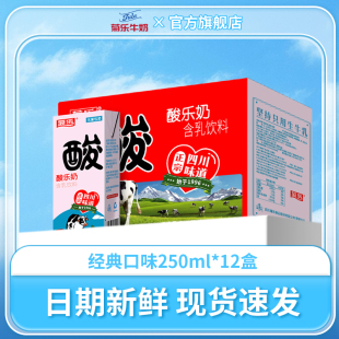 菊乐酸乐奶早餐奶整箱儿童含乳饮料250ml 送礼 12盒牛奶手提礼盒装
