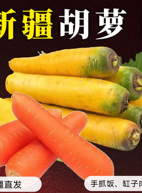 【新疆糖心胡萝卜】手抓饭配料黄色胡萝卜餐饮直供新货农家自种