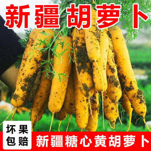 红黄胡萝卜双拼新疆混装胡萝卜