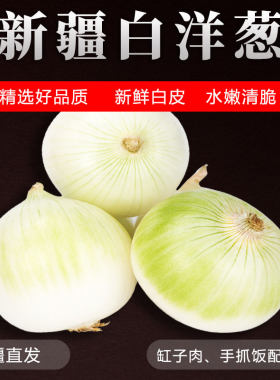 新疆白洋葱凉拌生吃煲汤口感好