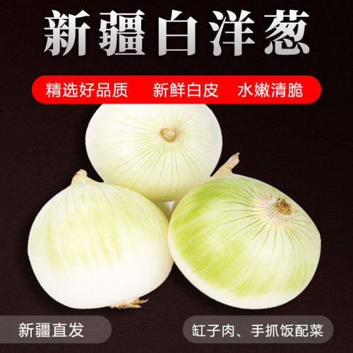 新疆白洋葱凉拌生吃煲汤口感好
