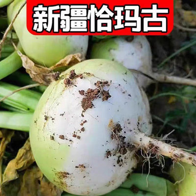 羊肉好搭档去膻增香新疆恰玛古