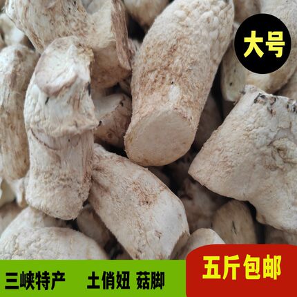 【大号5斤包邮】2024新品双剪全干 香菇脚丁 美味农家精选食品