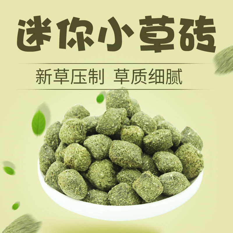 全场八折提摩西龙猫兔兔磨牙零食苜蓿小草砖豚鼠磨牙高纤维零食,宠物/宠物食品及用品,兔兔其他,淘宝优惠券,粉丝福利购,淘宝优惠卷