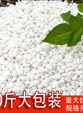 40斤装白色石子石头鹅卵石庭院铺路铺地阳台室内装饰砾石小白石子
