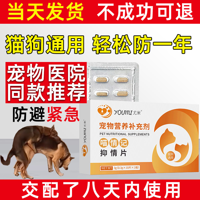防母狗事紧孕狗狗交配育宠物母猫咪孕后土狗避流浪猫狗吃急