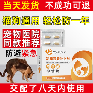 防母狗事紧孕狗狗交配育宠物母猫咪孕后土狗避流浪猫狗吃急