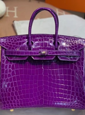 奢侈进口尼罗兴隆鳄鱼皮BL铂金包25CM水晶紫色女士气质品牌女包