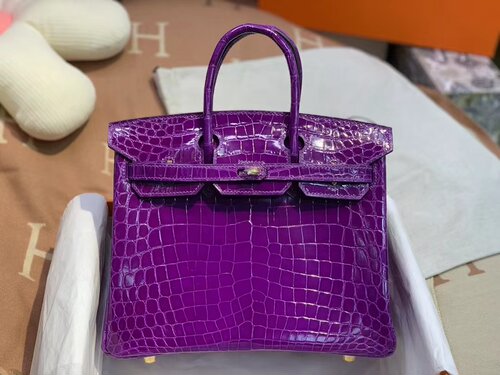 奢侈进口尼罗兴隆鳄鱼皮铂金包