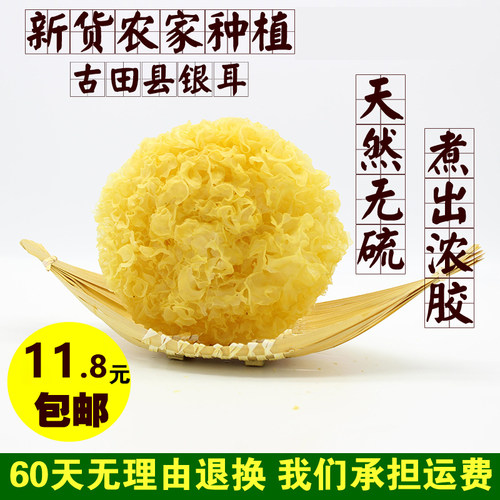 当季新货古田县银耳干货糯白木耳