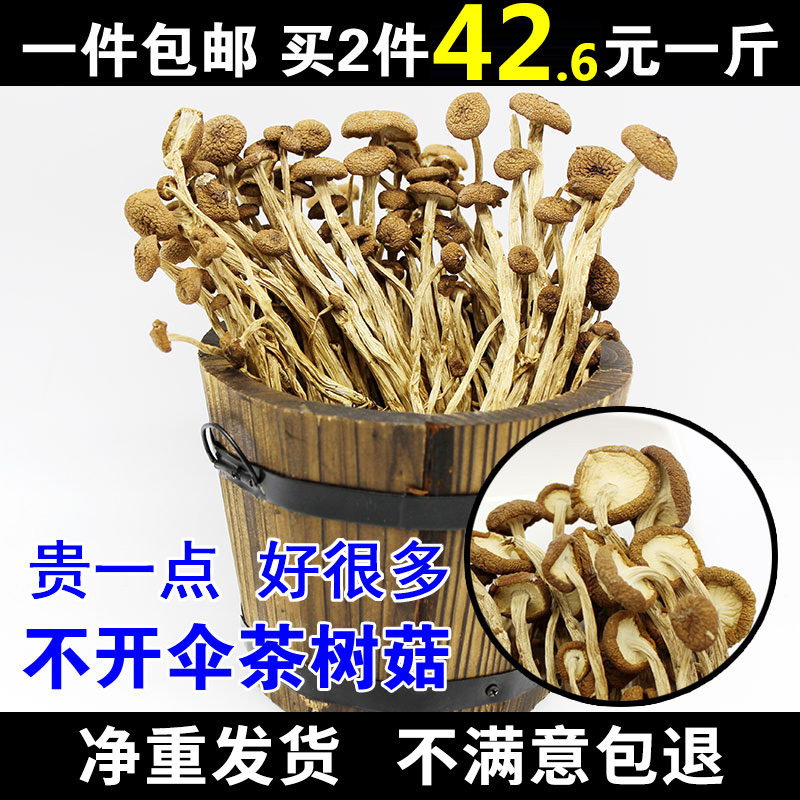 农家新鲜不开伞茶树菇干货