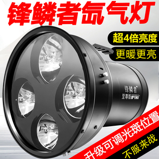 顶点夜钓灯氙气灯大功率暖黄疝气灯黑坑超亮强光小四头聚鱼钓鱼灯