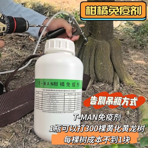 植物免疫柑橘黄龙病黄化病专用药砂糖橘脐橙红鼻子果青头果软果药