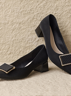 DFNI黑色单鞋女2024新款春季尖头浅口粗跟气质高级感通勤高跟鞋