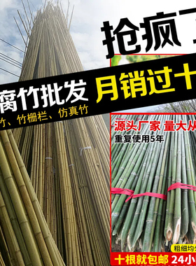 小竹杆爬藤架竹竿菜园搭架豆角黄瓜支架竹篱笆栅栏彩旗竹竿子花架