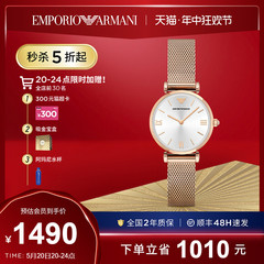 Armani阿玛尼正品手表女款轻奢小金表简约女表AR1956